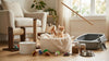 Best Cat Supplies for New Kitten Owners in 2026