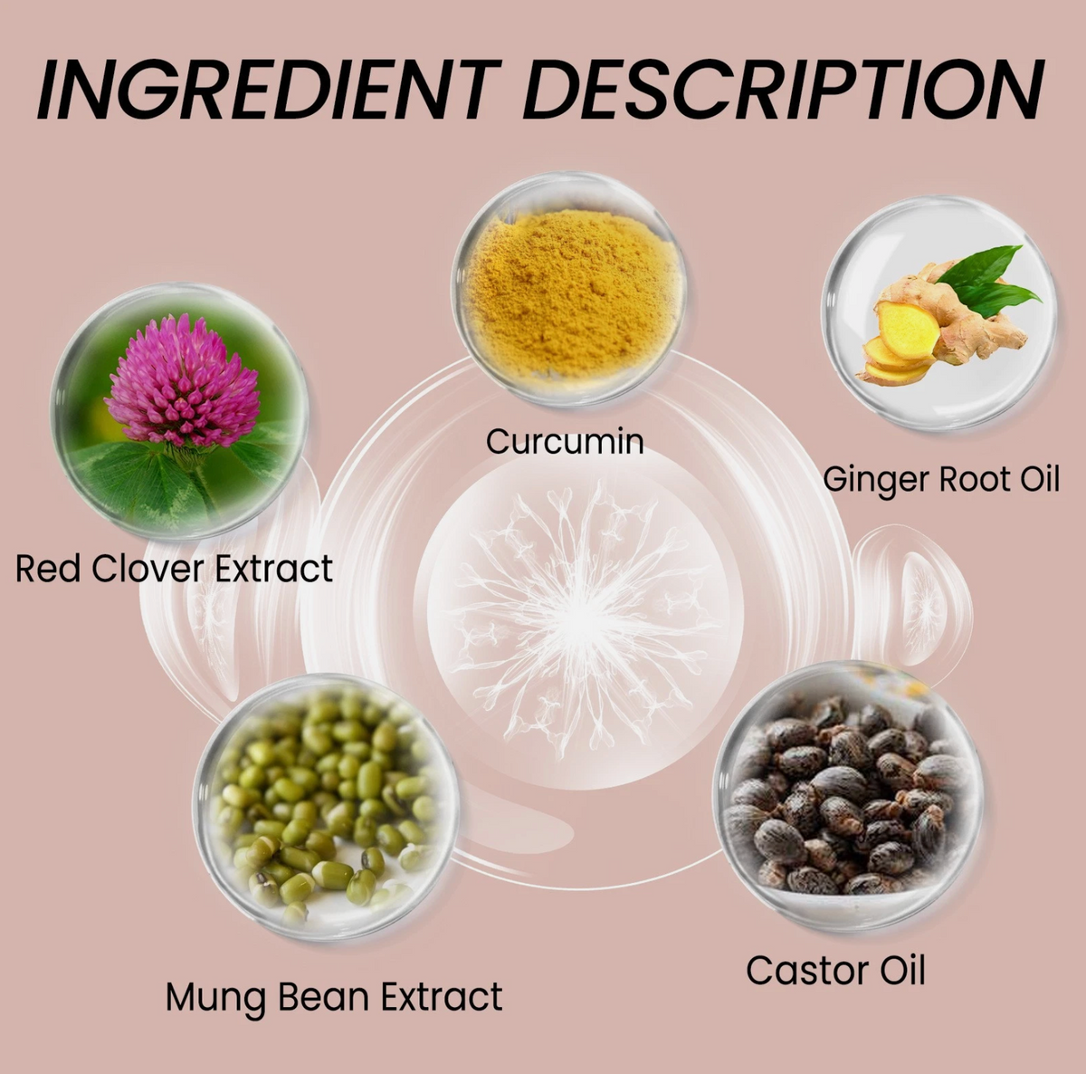 EELHOE Hair Dense Essence Anti-Hair Loss Oil